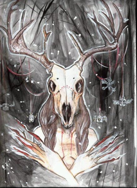 Череп оленя