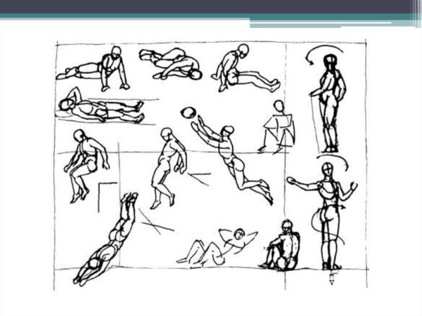 Пропорции фигуры человека в движении