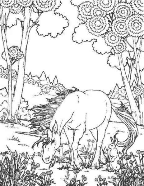 Раскраска антистресс природа