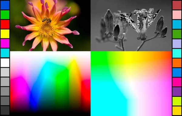 Тестовое изображение для принтера