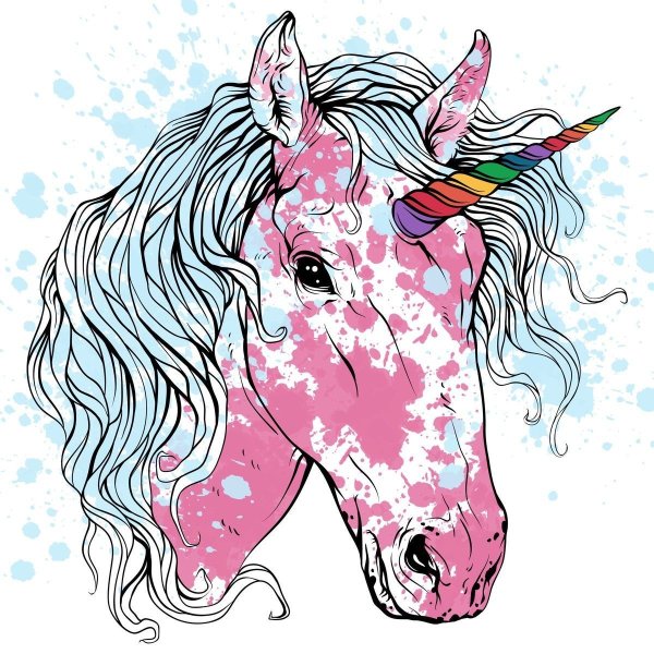 Единорожка цветная