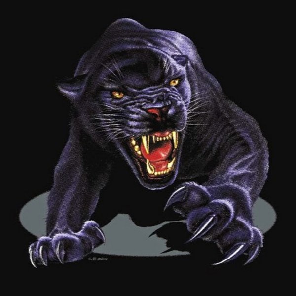 Пантера прыгает