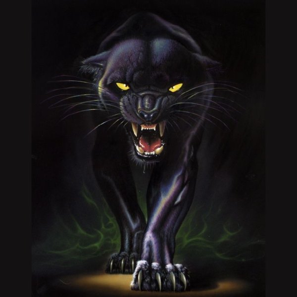 Алмазная вышивка Гранни пантера