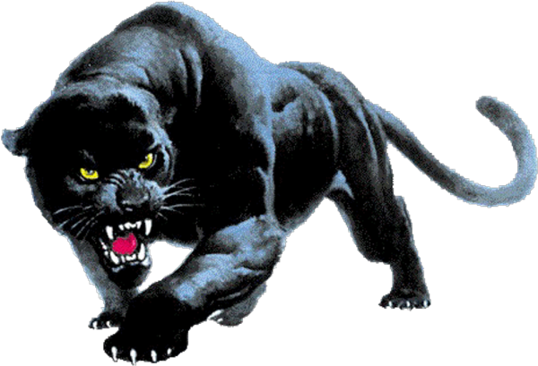 Пантера в прыжке