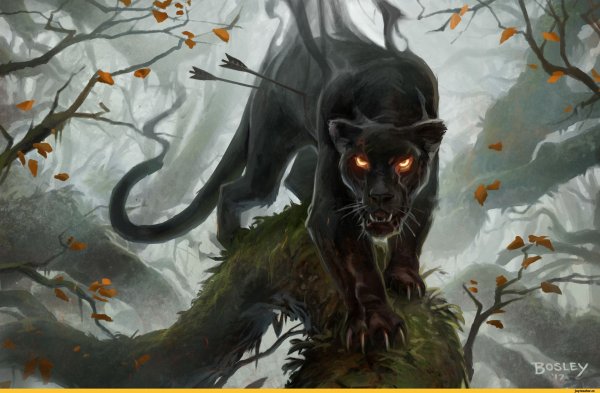 Пантера Багира аниме