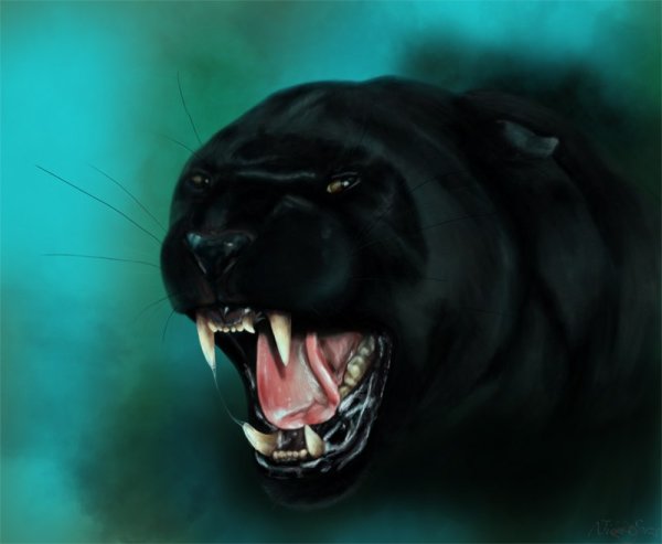 Пантера рычит