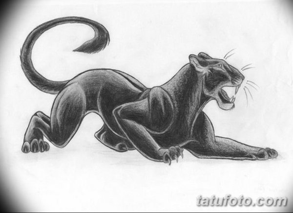 Пантера рисунок карандашом