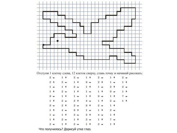 Математический диктант по клеточкам для дошкольников 6-7 птица