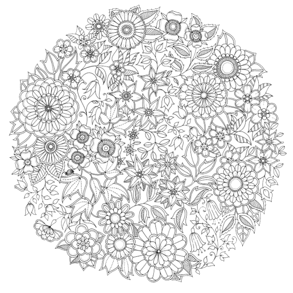 Secret Garden раскраска антистресс