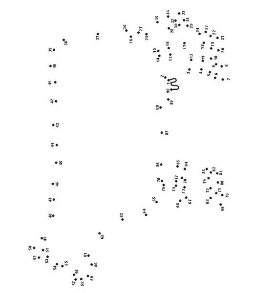 Рисование по цифрам сложные