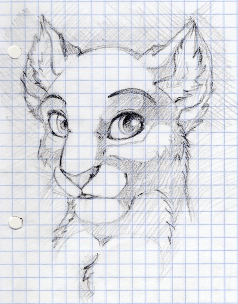 Красивые рисунки в тетради