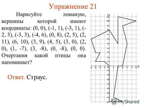 Рисунок по координатам (-2;2),(-2;-4)