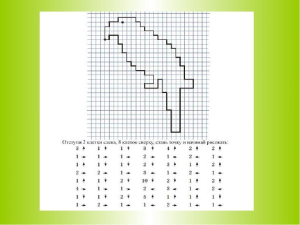 Графический диктант попугай по клеточкам для дошкольников
