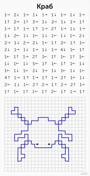 Графический диктант по клеточкам для дошкольников 6-7 паук