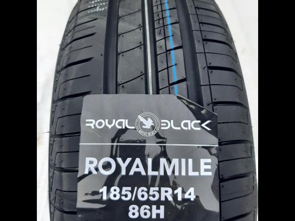 Биология 6 класс рабочая тетрадь Пасечник 16 параграф