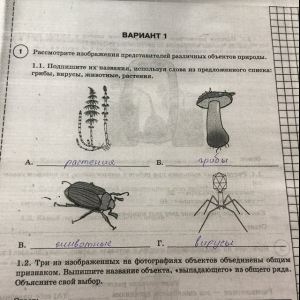 Как изображают силу на чертеже