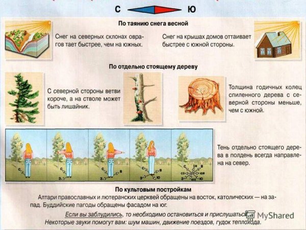Нефедова м. "душа вашего ребенка. Сорок вопросов родителей о детях"