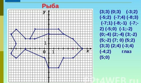 Система координат рисунок