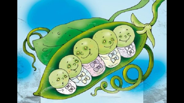 Андерсен пятеро из 1 стручка