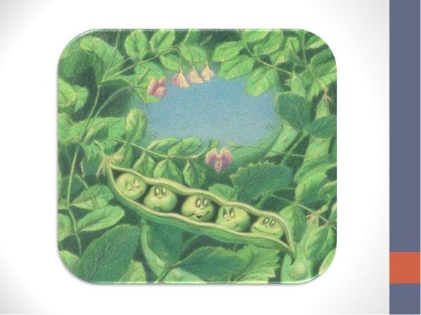 Г Х Андерсен пятеро из одного стручка