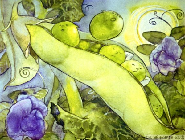 Андерсен пятеро из 1 стручка