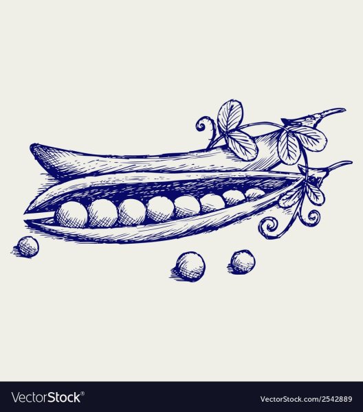 Горох Графика