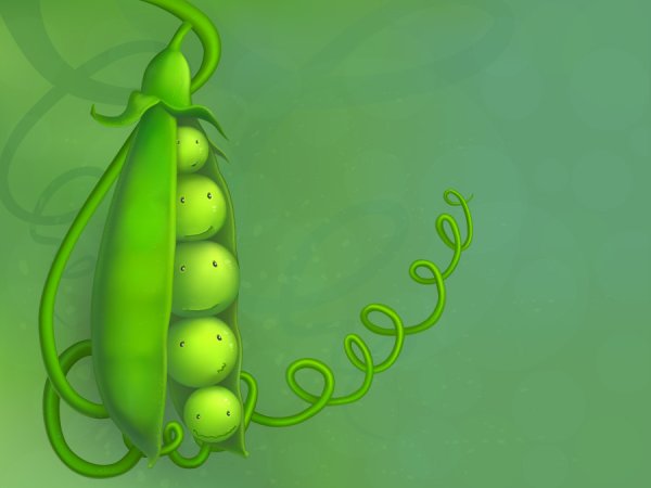 Пять горошин из одного стручка