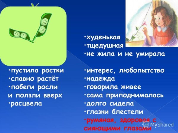 Пятеро из одного стручка