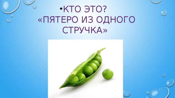 Пятеро из одного стручка