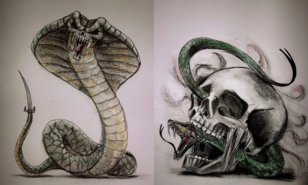 Рисунки страшных змей