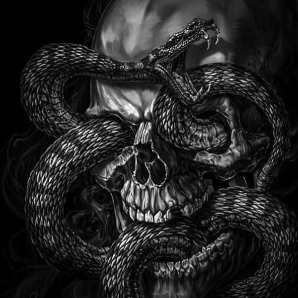 Темная змея арт