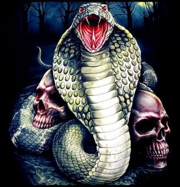 Страшная Кобра арт