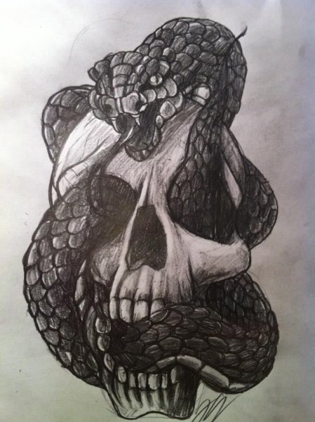 Тату змеиная голова