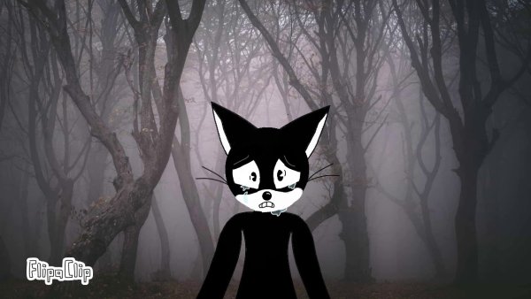 Черный кот из страшилок