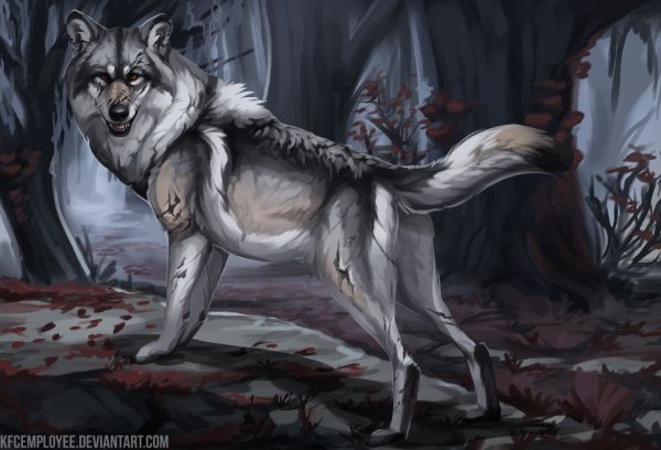 Злой и страшный серый волк