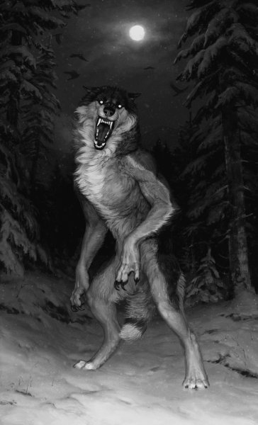 Дмитрий Форест я оборотень