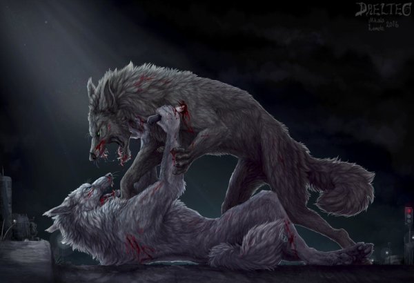Волк оборотень Werewolf
