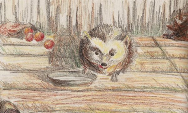 Михаил пришвин еж