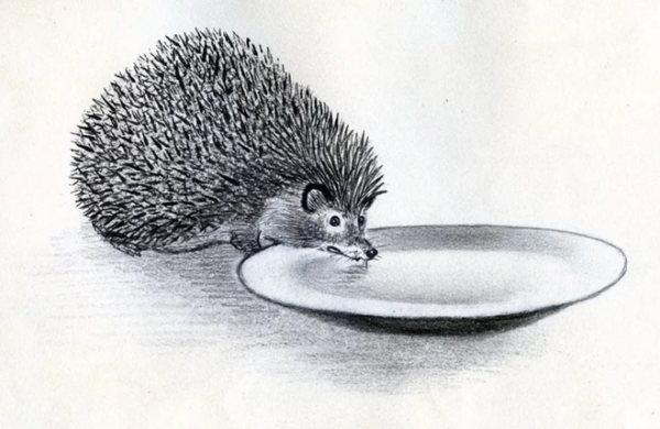 Михаил пришвин еж