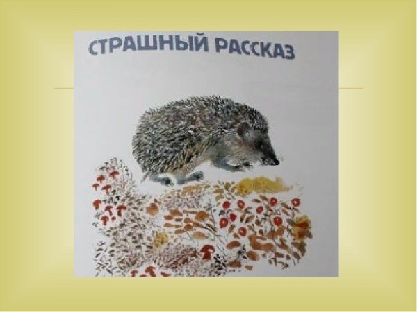 Страшный рассказ книга Евгения Чарушина картинки