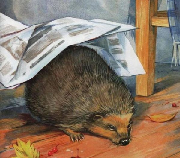 Михаил пришвин еж