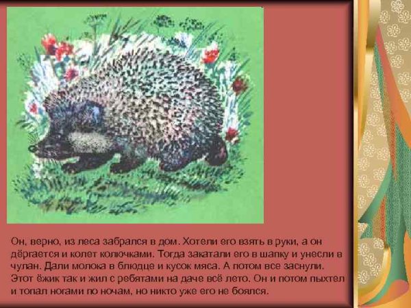 Евгений Чарушин страшный рассказ