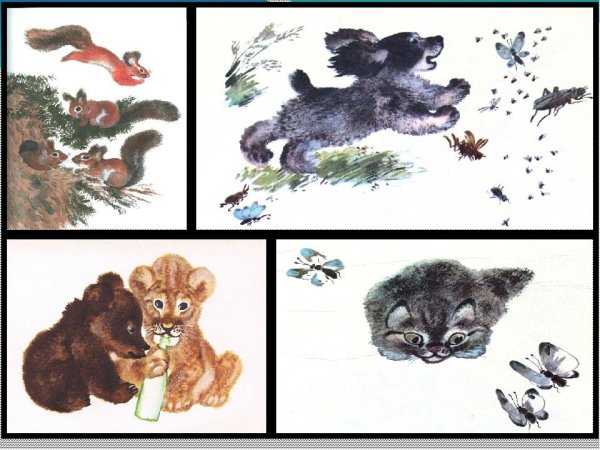 Чарушин герои рассказов