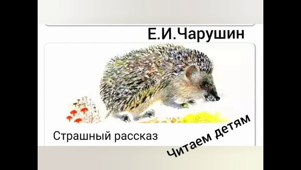 Иллюстрация к произведению Чарушина страшный рассказ