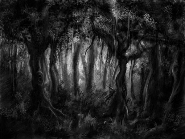 Темный дремучий лес