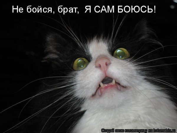 Боюсь прикол