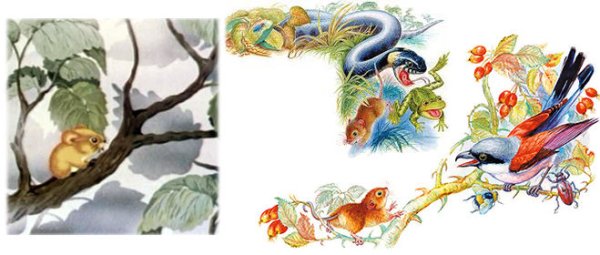 Мышонок пик Соловей разбойник