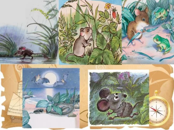 Бианки мышонок пик страшная ночь