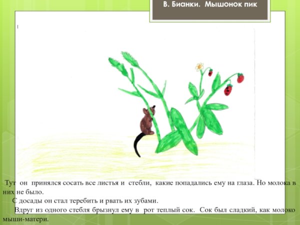 Диафильм мышонок пик