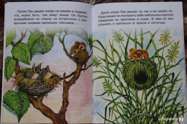 Книга про мышонка пика